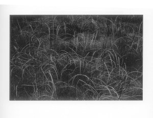 an example of abstration in landscape photography