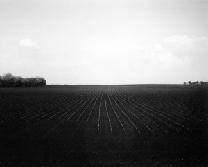 Rhondal McKinney, Illinois Landscape 1982